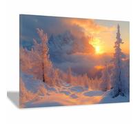TERUEA Home Selections Painted Flower 3D Wall Canvas. Frosty Tree Winter Mountain Sunset Canvas Wall Art Modern Abstract Paintings(Orange)-80x120cm Framed