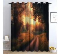 TERUEA Polyester Fabric Curtains Enchanted Flower Path at Sunrise Curtains Spring Garden Landscape Boho Home/Office Artistic Decor for Bedroom Living Room -42" W x 63" L (Pack of 2)
