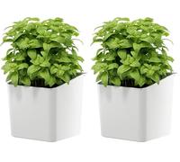 tesa Kitchen Accessory Herb Pot - Self-adhesive Hanging Pot for Fresh Herbs in the Kitchen, Drill-Free - Comes with Wall Mount Adapter - Decorative Storage for Plants - White (Pack of 2)