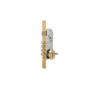 Tesa r200b - Lock bulon 50 without Cylinder Polished Brass.