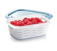 Tescoma 896940 4FOOD 1.0 L Freezer Container with Ice Basket