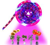 Tesfish LED Plant Grow Strip Light DC 12V IP20 Full Spectrum SMD 5050 Red Blue 4:1 Rope Light for Aquarium Greenhouse Hydroponic Plant