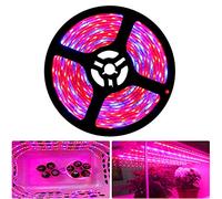 Tesfish LED Plant Grow Strip Light DC 12V IP65 Full Spectrum SMD 5050 Red Blue 4:1 Rope Light for Aquarium Greenhouse Hydroponic Plant