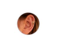 TESGADGETS Piercing Rings, Titanium Star Helix Piercing Jewellery 16G, Chain Star Helix Hoop Earrings, Hinged Segment Cartilage Tragus Conch Piercing Jewellery, Gold