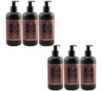 Tesori D'Oriente Aromatic Hand Soap Hammam 6 X 300Ml Liquid Soap