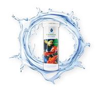 TEST ALL WATER - Aquarium Ammonia Test Strips | 6 Tests per Strip | 50 Strips/Pack | Accurate Water Testing | Made in UK | Ideal for Freshwater & Saltwater Aquariums