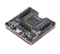 Test Board Firmware Burning Tool Compact Module for Development Projects
