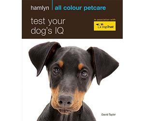 Test Your Dog's IQ: Hamlyn All Colour Pet Care