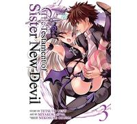Testament of Sister New Devil Vol. 3, The