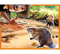 Testing Epic DB Cooper Beaver Science Hack Theory