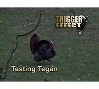Testing Tegan