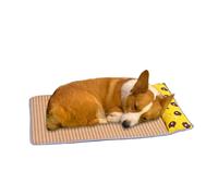 TESUKOITE Heatwave Survival Mat for UK Pets - Plant-Based Cooling Tech, Non-Slip & Claw-Proof | No More Panting (S(39 * 29CM) For pets up to 1.5kg, Cute bear)