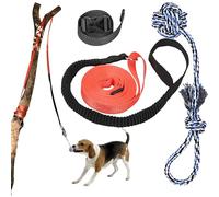 Tether Tug of War Outdoor Dog Toys, Dog Tug of War Toys | Dog Tug Toy Tether Tag Dog Rope Toy with Ball - Tree Tag Dog Pulling Toy, Pull, Shake, Pull, Outdoor Dog Toy to Relieve Boredom