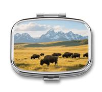Teton Prairie Travel Pill Organizer with 2 Weekly Pill Compartments with Mirror for One Day, Medication Organizer for Purse, Pocket or Wallet