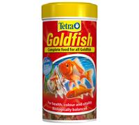 Tetra Goldfish