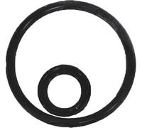 Tetra O-Ring for Tetra GC 40/50 Gravel Cleaner