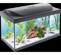 Tetra Starter Tropical Fish Aquarium - complete fish tank starter kit with light, heater, filter, fish food and water conditioner 54L