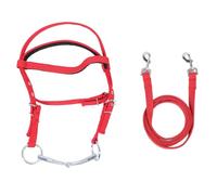 TEUOPIOE Adjustable Nylon Horse Bridle with Rein Stylish Equestrian Headstall Tack Gear for Riding, Training, Trail, and Show For Horse Owners, Riders, and Equestrian Enthusiasts (L 41-47)