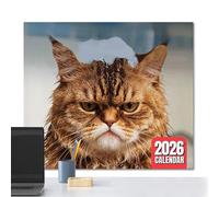 Teupyon 2026 Cat Calendar | 12-Month Angry Cats Calendar - January - December 2026, Wall Planner for School Office Living Room Home Family Scheduling