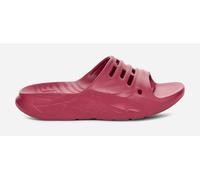 TEVA ApreTrail Slide Sandals in Cherries Jubilee, Size 7