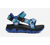 TEVA Hurricane XLT JR Sandals in Ocean Creatures Dazzling Blue, Size 4