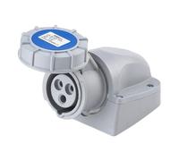 TEW Deligo 16A 3 Pin (2P+E) Blue IP67 Industrial Wall Socket 240V