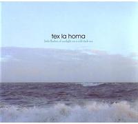 Tex la Homa - Little Flashes of Sunlight on
