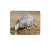 Texan Armadillo Desert Mouse Mat Pad - Zoology Animals Fun Computer #15712