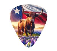 Texas-Bluebonnets 12 Pack Guitar Picks With 3 Thicknesses And Storage Box, Abs Plectrums For Electric Bass Guitar Players