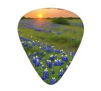 (Texas Bluebonnets Scenery) Guitar Picks Set Of 12 With Transparent Plastic Box For Bass Electric And Acoustic Guitars Ukulele