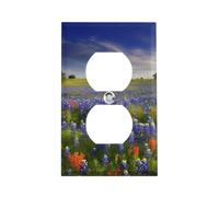 Texas Bluebonnets Scenery Outlet Cover, American Standard Wall Plate with Screws - Heat & Impact Resistant Stainless Steel, 1-Gang Duplex Socket Cover for Home Decor