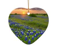 (Texas Bluebonnets Scenery) Printed Christmas Tree Ceramic Ornaments Pendants 1 PCS Xmas Ornaments for Novel Heart Shape