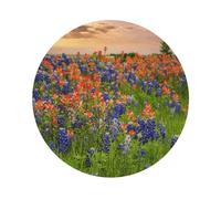 Texas Bluebonnets Scenery Printed Coasters Set of 4, Tabletop Protection Leather Coasters for Cup Drinks Coffee Pads Beer Bar Mat Gifts, Round Shape