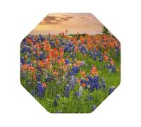Texas Bluebonnets Scenery Printed Coasters Set of 4, Tabletop Protection Leather Coasters for Cup Drinks Coffee Pads Beer Bar Mat Gifts, Octagon