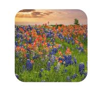 Texas Bluebonnets Scenery Printed Coasters Set of 4, Tabletop Protection Leather Coasters for Cup Drinks Coffee Pads Beer Bar Mat Gifts, Square