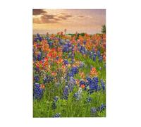 Texas Bluebonnets Scenery Printed Wooden Puzzle 300 Piece, Cute Puzzle Game in Plastic Box for Family Entertainment and Brain Training Gifts