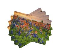 Texas Bluebonnets Scenery Style Linen-Look Placemats Set of 4 PCS, 45x30cm Heat Resistant Double Layer Washable Table Mats for Dining Table, Daily Meals & Outdoor Picnic