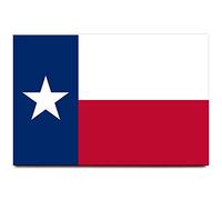 Texas flag fridge magnet Dallas Houston travel souvenir