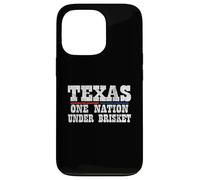 Texas One Nation Under Brisket BBQ - Funny Texas BBQ Case for iPhone 13 Pro