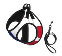 Texas State Flag Map Print Dog Harness Small Sized And Leash Set, Step In Soft Light Puppy Vest Breathable Mesh Pet Harness