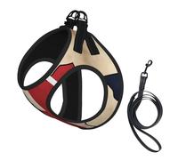 Texas State Flag Map02 Print Harness Leash Set For Cat And Small Dog, Adjustable, Reflective, And Escape-Proof Vest With Soft Breathable Mesh Lining