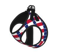 Texas State Flag Pet Leash Vest For Small Dogs Cats Reflective Adjustable Soft Outdoor Walking Hiking Training