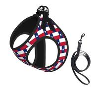 Texas State Flag Print Dog Harness Small Sized And Leash Set, Step In Soft Light Puppy Vest Breathable Mesh Pet Harness