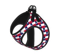 Texas State Flag Print Step in Dog Harness and Leash Set,Adjustable Reflective Harness for Small Dogs Cats
