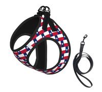 Texas State Flag Print Step in Dog Harness and Leash Set,Adjustable Reflective Harness for Small Dogs Cats