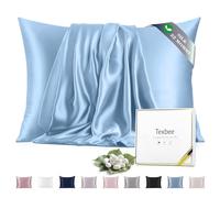 Texbee 100% Mulberry Silk Pillowcase for Hair and Skin Health, 1PC | 22 Momme Silk Pillow Cases, Hidden Zipper, Soft Smooth Breathable Cool for Beauty Sleep, Standard 50x66cm, Light Blue