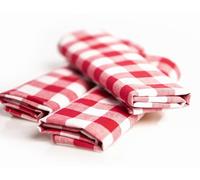 texpot Country House Napkin 30 x 30 cm Red / White Checked Made from 100% Cotton in 20 mm Chequered Farmer's Check