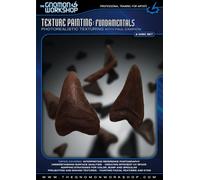 Texture Painting: Fundamentals [DVD] [Region 1] [US Import] [NTSC]