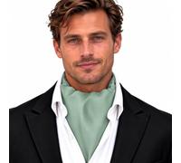 Texture Ties Christian Valentino Mens Ascot (Choose Colour)
