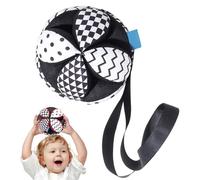 Textured Balla for Kids - Black and White Interactive Sensory Ball | Evolutionary Friction Ball for Kids, Soft Cotton Pad Toys for Kids and Girls, Sounds & Tram